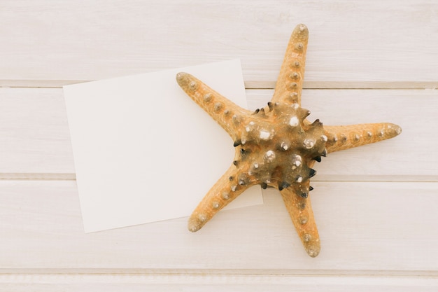 Template with starfish