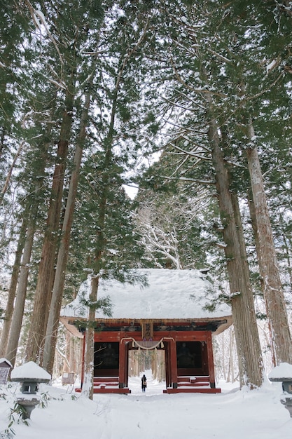 Free photo temple in snow forest at togakushi shrine, japan