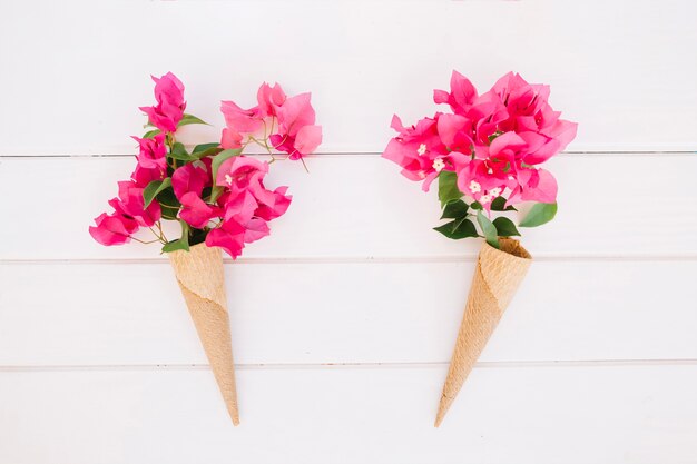 Tender flowers in waffle cones