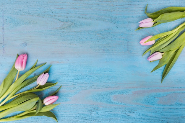 Tender pink tulips in composition from above