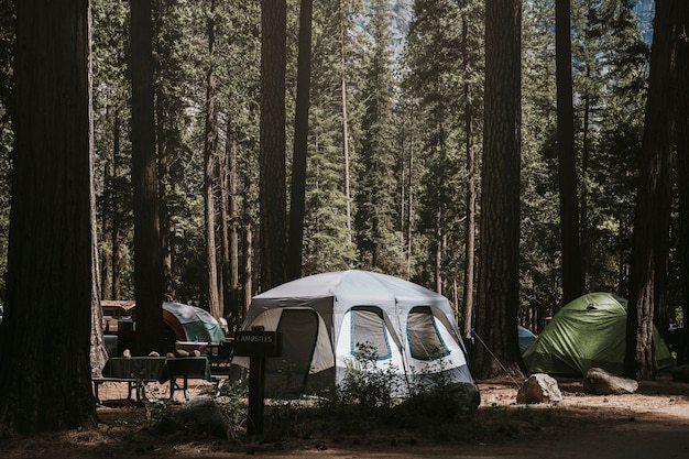 Free photo tent at a campsite in the woods