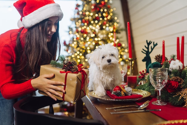 Terrier on a decorative Christmas table, a girl stands at the side and holds a gift