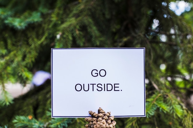 Text go outside card over the pinecone in front of fir tree