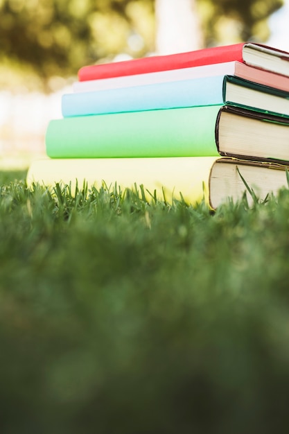 Textbook pile with bright covers on green grass