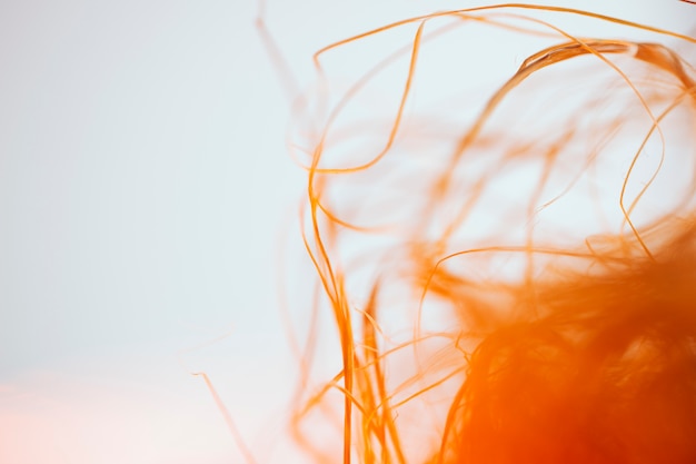 Free Photo texture of abstract waving orange fibers 