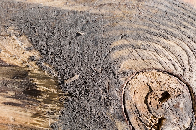 Texture of close up wood