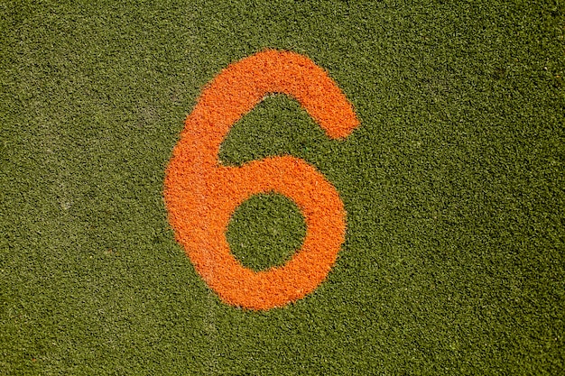 Free photo texture of green grass with number six