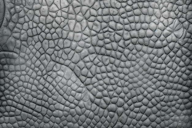 Texture of hairless animal skin