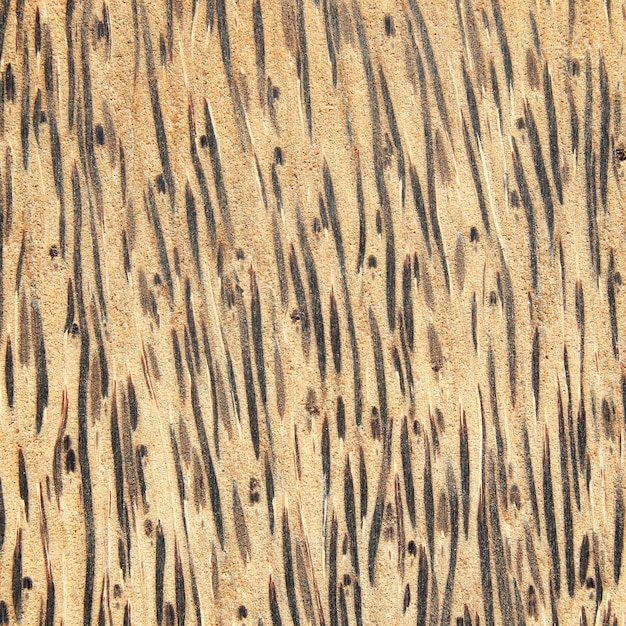 Texture of striped wood pattern background