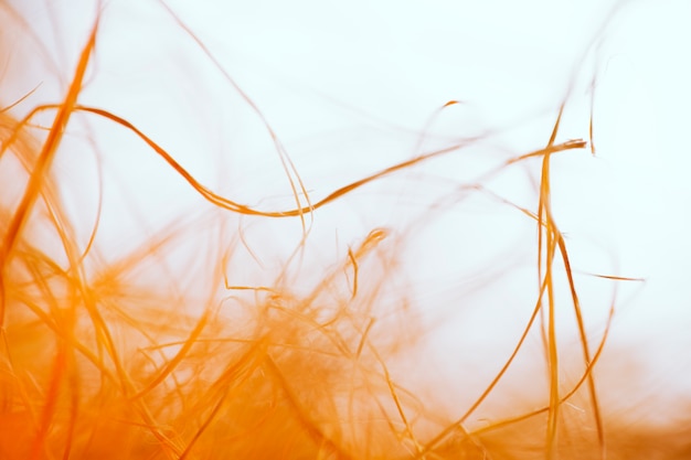 Free photo texture of waving orange fibers