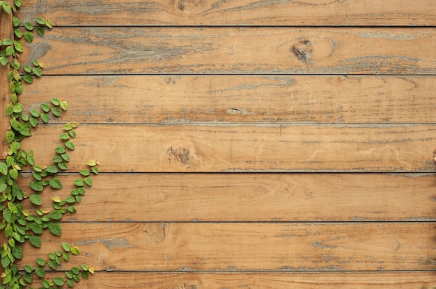 Texture of wooden boards