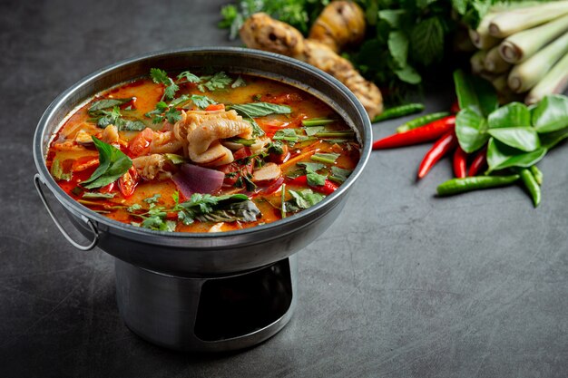 Thai food. spicy chicken tendon soup.