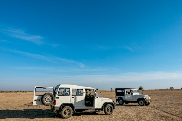 Free photo thar desert in rajasthan india