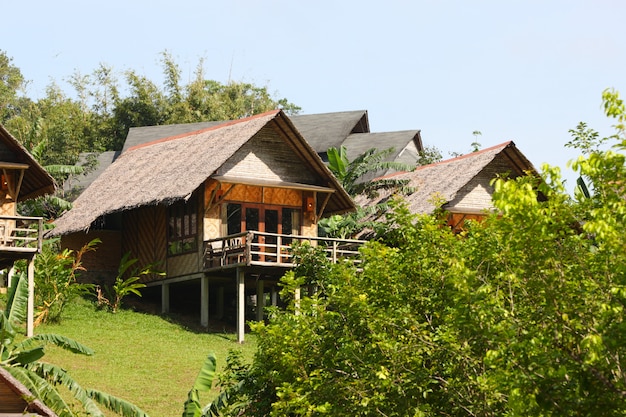 Free photo thatch roof on a house