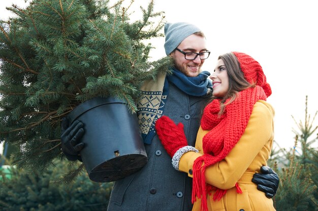 They found perfect Christmas tree