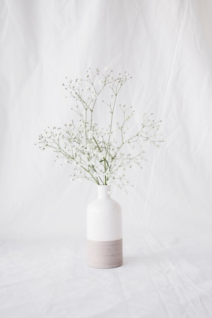 Free photo thin green plant branches with flowers in vase