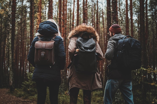 Free photo three best friends are hiking in autumn pine forest with backpacks.