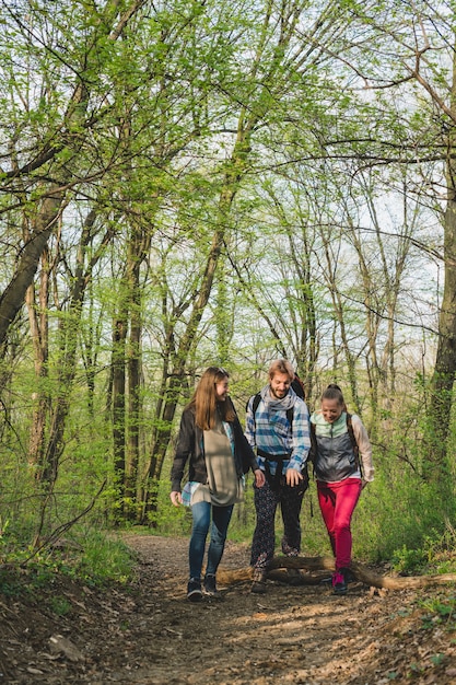 Three friends walking through forest