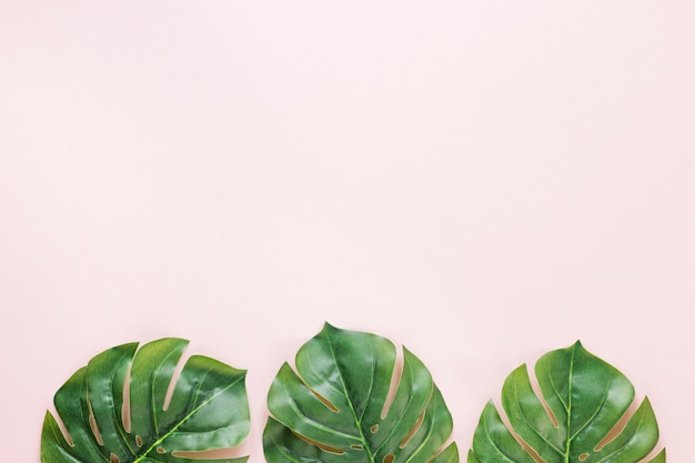 Three green palm leaves on table