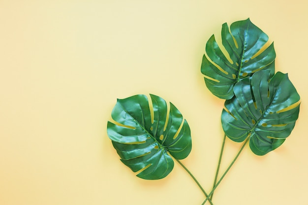 Free photo three green palm leaves on yellow table