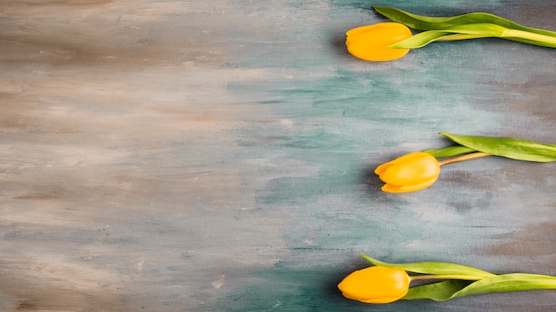 Three tulip flowers on grey table