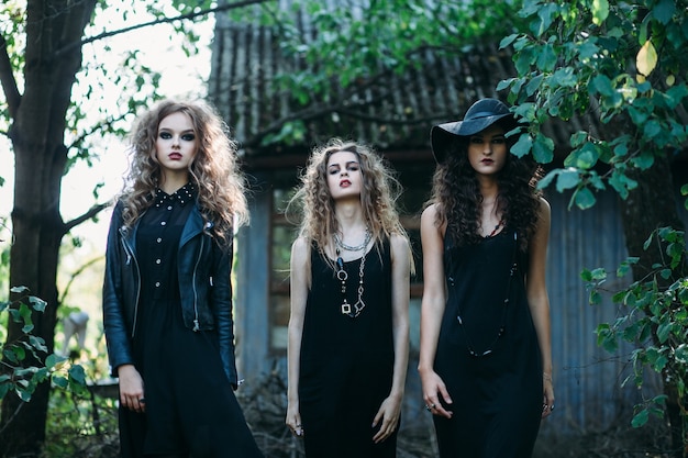 Free photo three vintage witch go to the sabbat eve of halloween