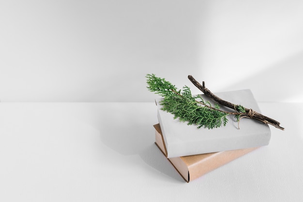 Free Photo thuja branch on white and brown books over background