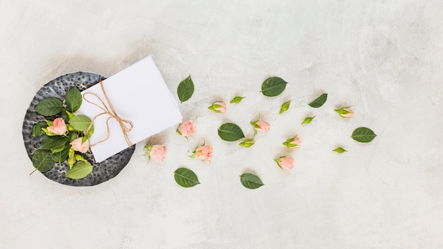 Tied up paper with string; pink flowers and leaves on concrete background