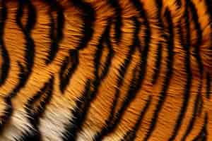 Free photo tiger pattern  fur texture