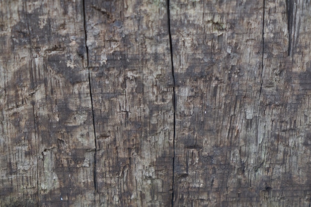 Free photo timber wood wooden macro closeup