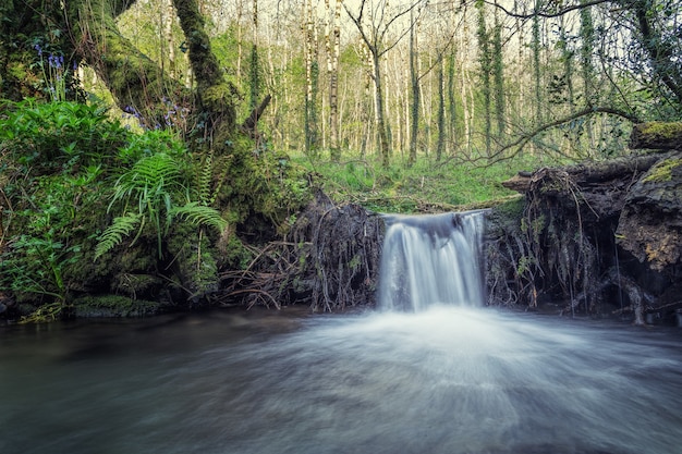 Time-lapse photography of waterfall during daytime