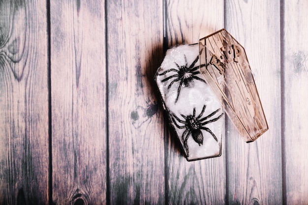 Free photo tiny coffin with spiders