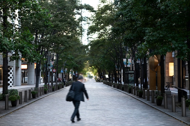 Tokyo cityscape in daytime