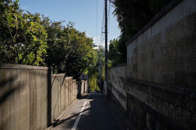 Free Photo tokyo cityscape in daytime