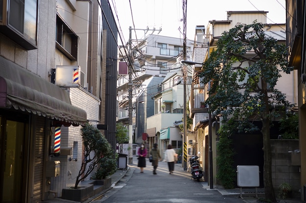 Tokyo cityscape in daytime