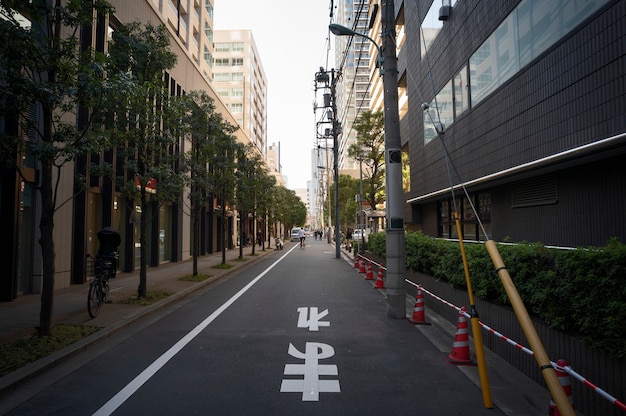 Tokyo cityscape in daytime