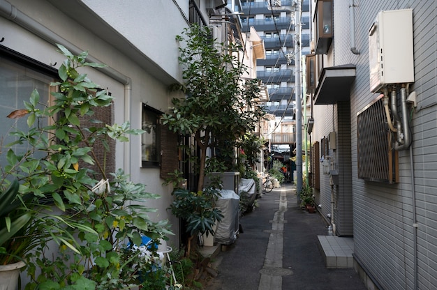 Tokyo cityscape in daytime