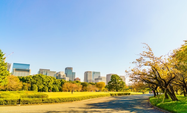 Tokyo, Japan cityscape