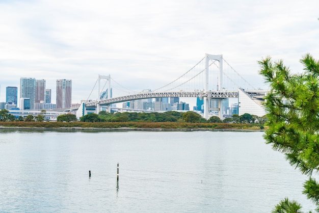 Tokyo skyline with Tokyo tower and rainbow bridge.