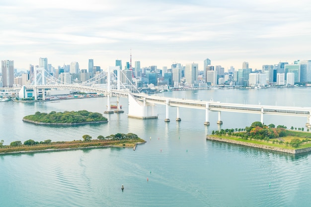 Tokyo skyline with Tokyo tower and rainbow bridge.