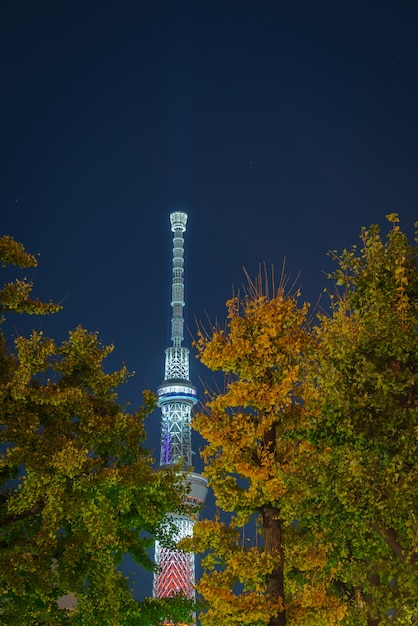 Tokyo Skytree Japan at night