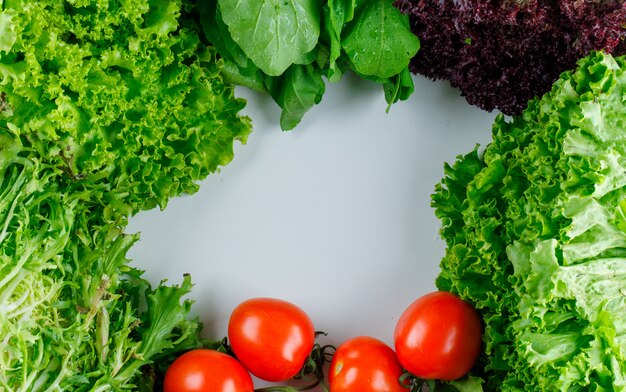 Tomatoes with leafy greens, red lettuce, flat lay.