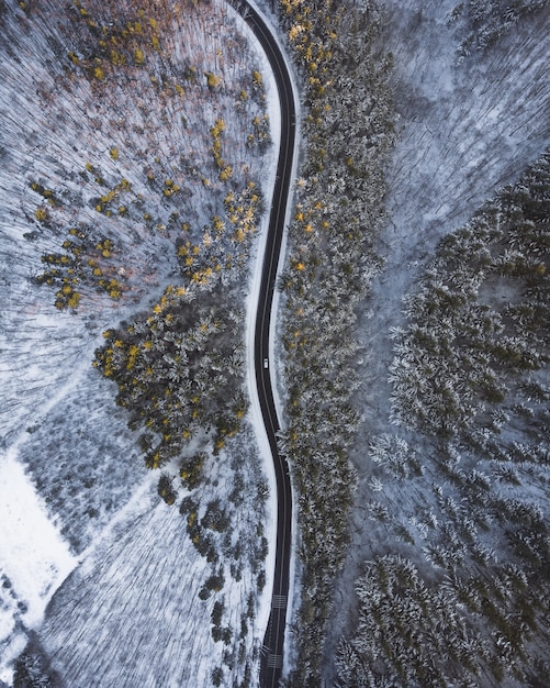 Top down aerial shot of a long road in the middle of trees and snow