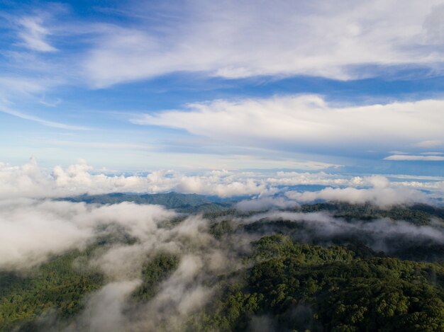 Top of mountain with view into misty valley. Foggy valley mountain view. Beautiful nature.