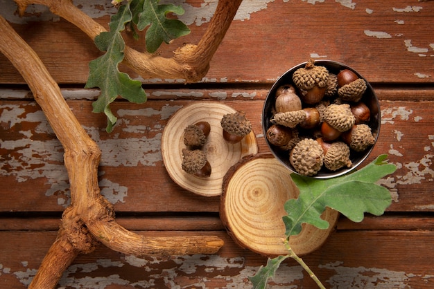 Top view acorns still life