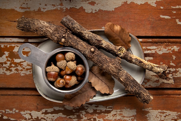 Free Photo top view acorns still life