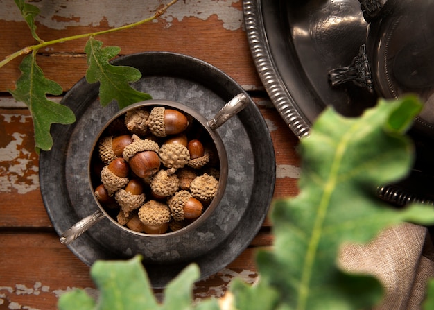 Top view acorns still life