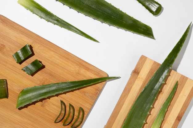 Top view of aloe vera beauty concept