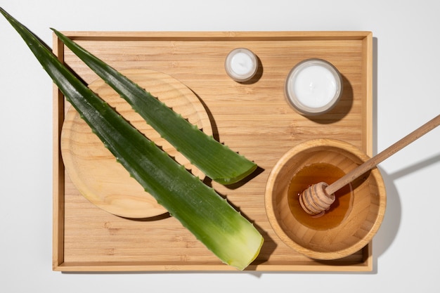 Top view of aloe vera beauty concept