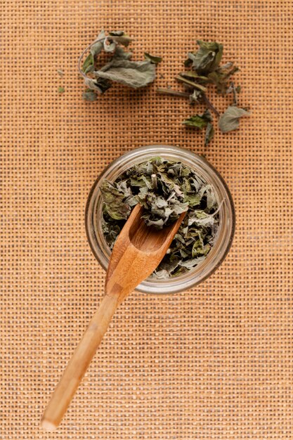 Top view arrangement with plants in a bowl